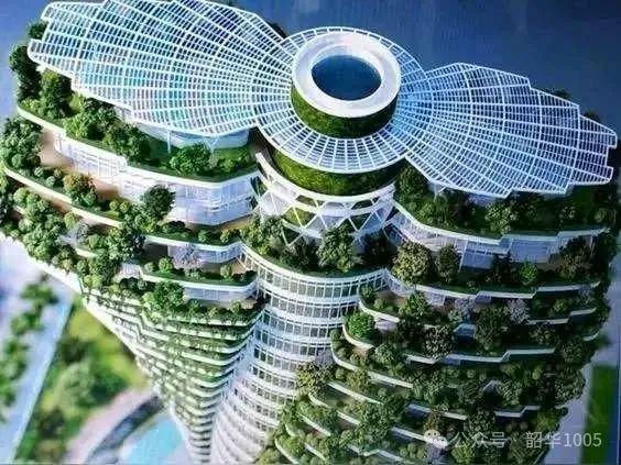 王韶：“四代宅”——进化的力量超越庭院和绿化的空间革命！(图2)