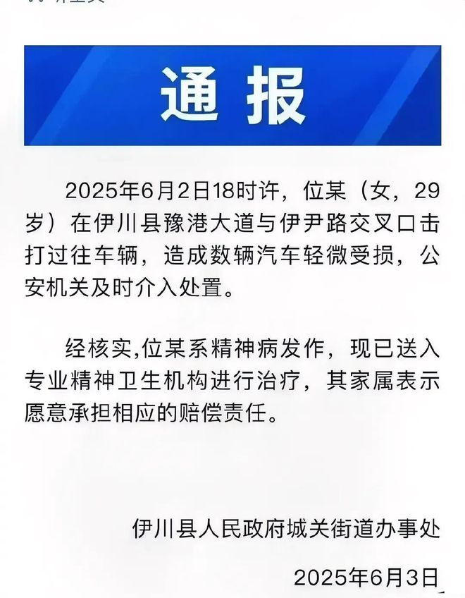 后续！女子当街打砸车辆多车损坏官方通报女子果然有问题(图6)