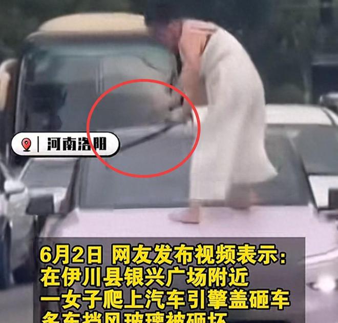 女子当街打砸车辆后续：砸的都是好车被抓时流泪认怂警方介入