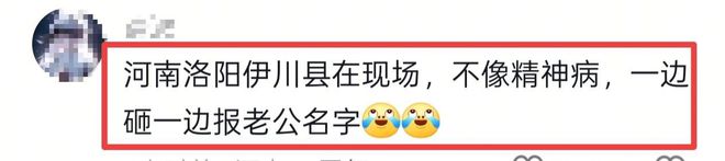 女子当街打砸车辆后续：砸的都是好车被抓时流泪认怂警方介入(图14)