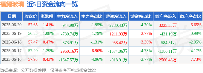 福耀玻璃（600660）6月20日主力资金净卖出94490万元