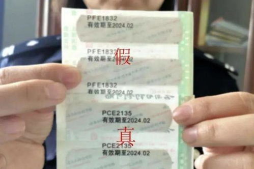 德州到天津汽车票多少钱一张