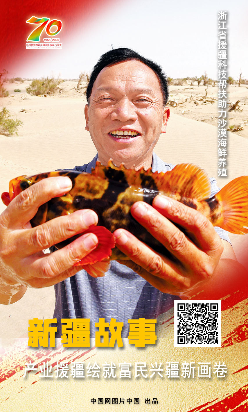 新疆故事 产业援疆绘就富民兴疆新画卷【海报】(图9)