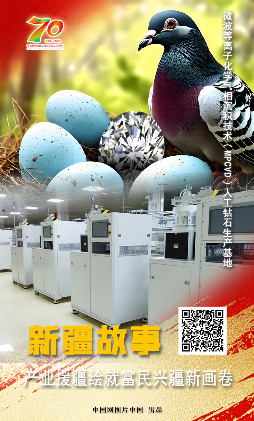 新疆故事 产业援疆绘就富民兴疆新画卷【海报】(图8)