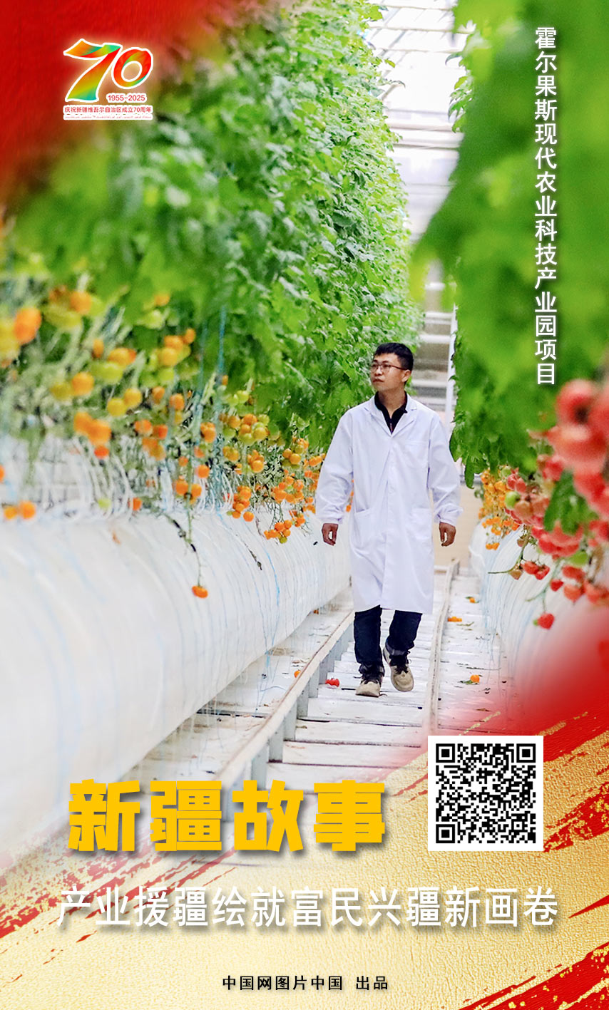 新疆故事 产业援疆绘就富民兴疆新画卷【海报】(图11)
