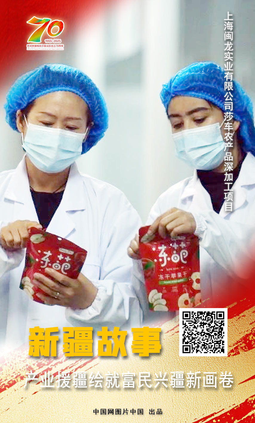 新疆故事 产业援疆绘就富民兴疆新画卷【海报】(图12)