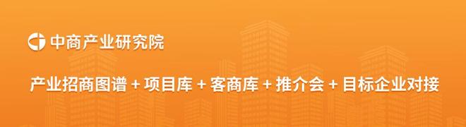 2025年中国光伏玻璃行业市场前景预测研究报告(图16)