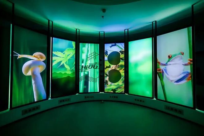 对话海优威李民：直击全景天幕痛点以光伏基因重塑智能座舱体验(图6)