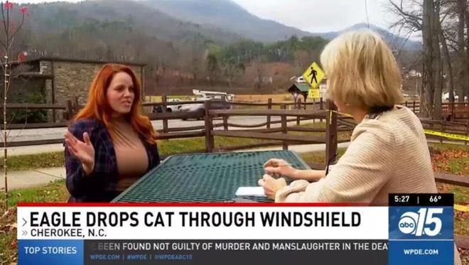 惊险！天降死猫砸破她车玻璃血溅一身！抬头发现是猛禽投的“炸弹”？(图9)