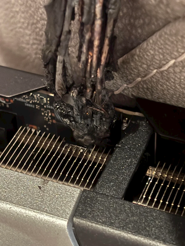 2025年12月28日B(图39)