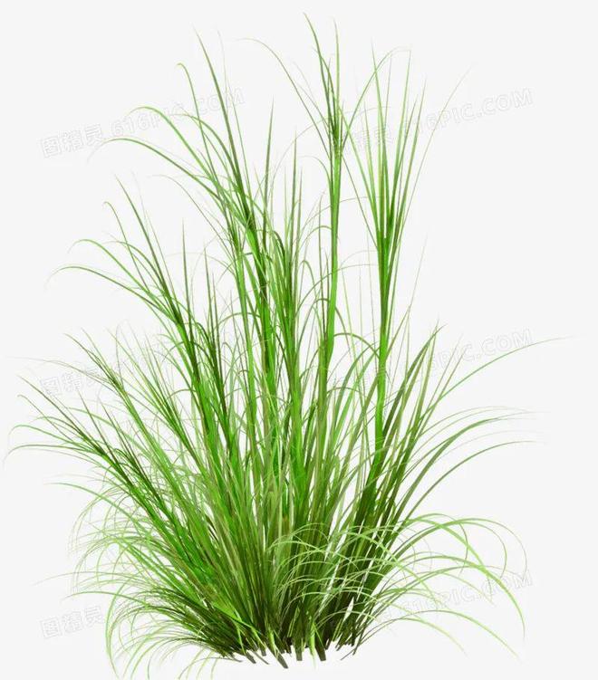 带你了解绿色产品认证！