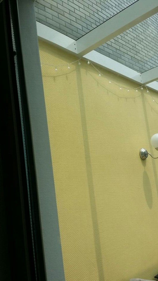 悲壮的进步与进化