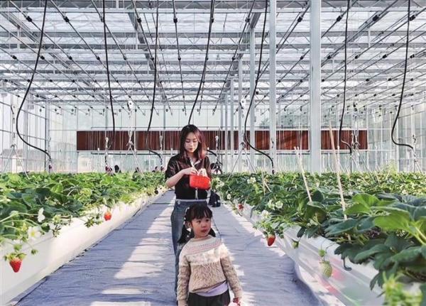 乡村蝶变满目新春节归乡感受沃野田畴中的日新月异(图7)