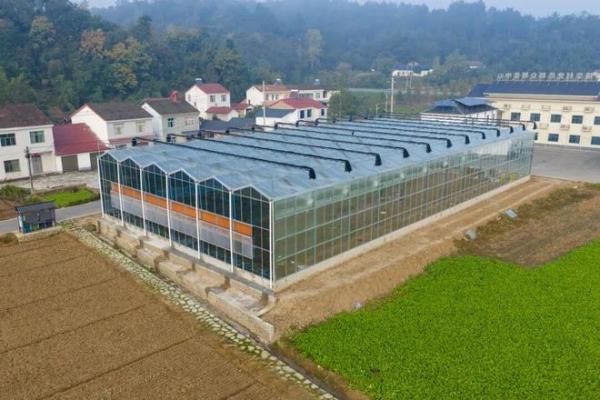 乡村蝶变满目新春节归乡感受沃野田畴中的日新月异(图8)