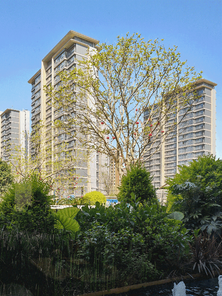 中环桃源里 (售楼处) 官方官网 -2026年中环桃源里官方销售中心电话 - 环境 户型价格地址楼盘详情配套电话交房时间配套(图11)