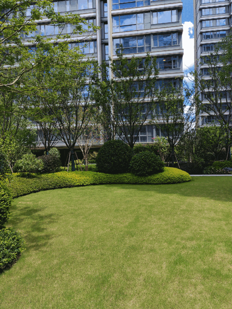 中环桃源里官方售楼处电话(中环桃源里)官方首页网站-营销中心欢迎您-楼盘详情最新价格-户型图-容积率@2026330售楼处✦AI热搜(图14)