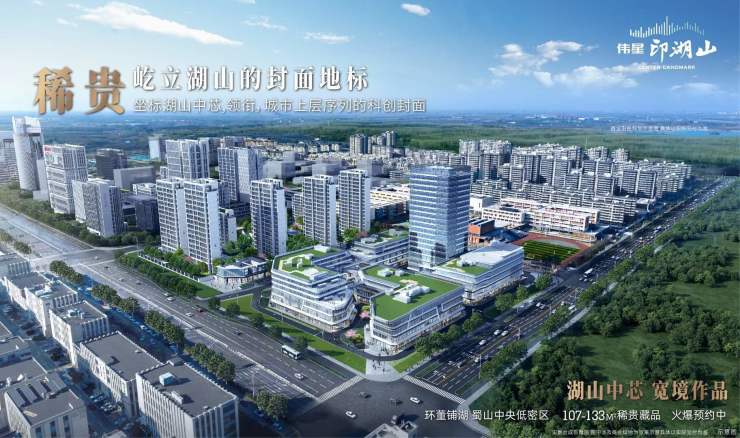 合肥伟星印湖山项目价格解析：文化价值的市场体现(图3)